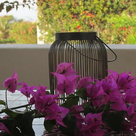 Romantische In By Interhome *